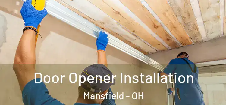 Door Opener Installation Mansfield - OH