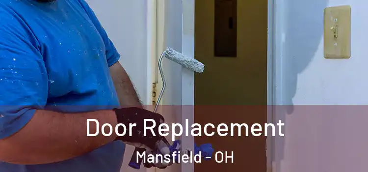  Door Replacement Mansfield - OH