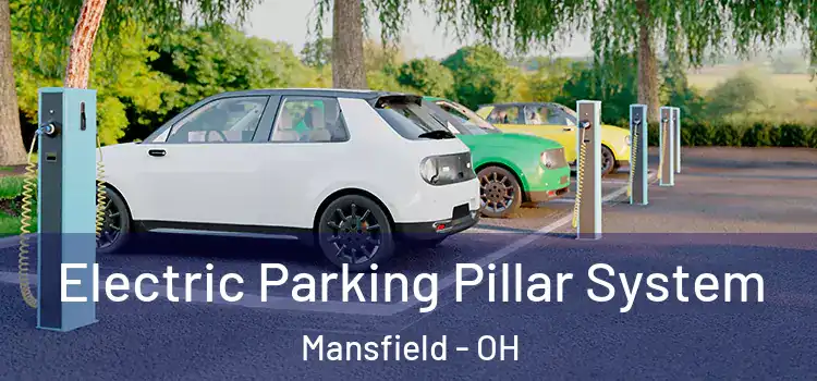  Electric Parking Pillar System Mansfield - OH