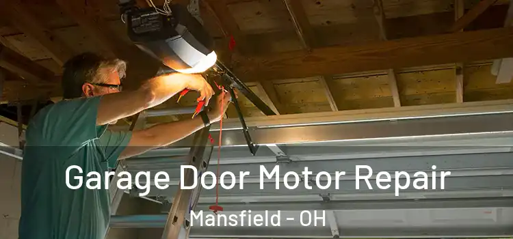  Garage Door Motor Repair Mansfield - OH