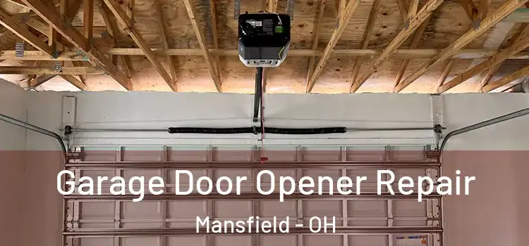  Garage Door Opener Repair Mansfield - OH