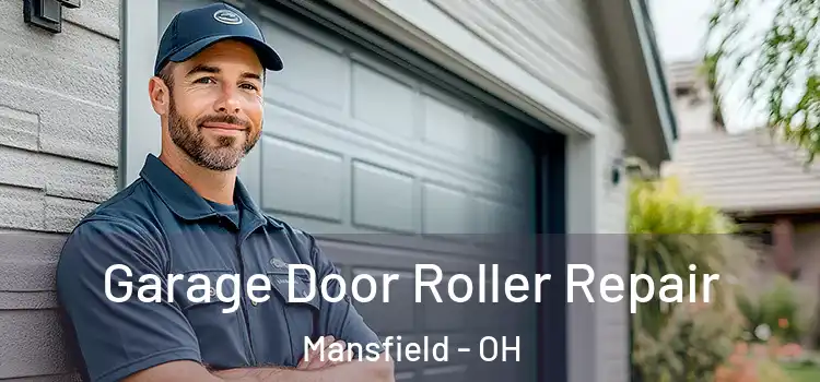  Garage Door Roller Repair Mansfield - OH
