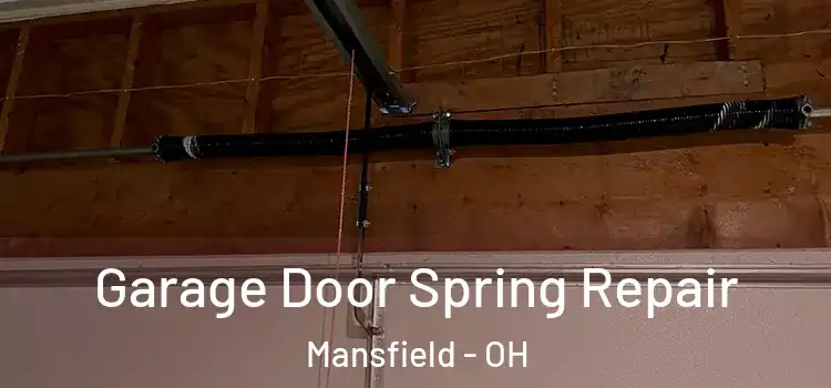 Garage Door Spring Repair Mansfield - OH