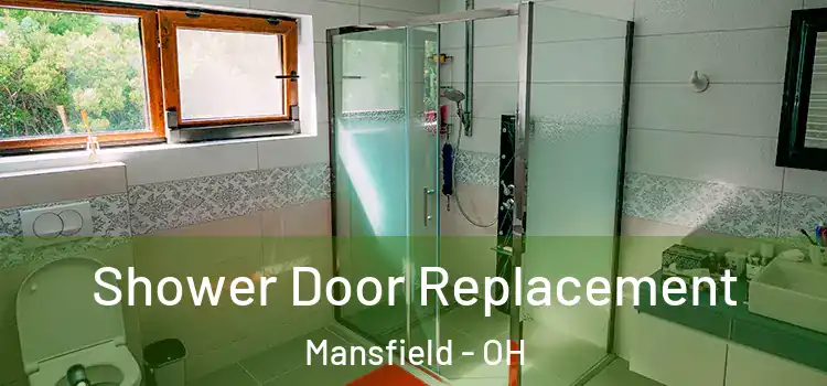 Shower Door Replacement Mansfield - OH