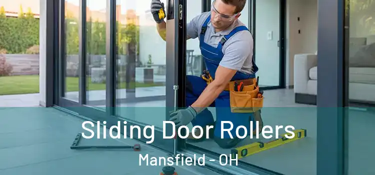 Sliding Door Rollers Mansfield - OH